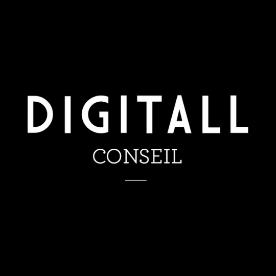 Logo DIGITALL CONSEIL
